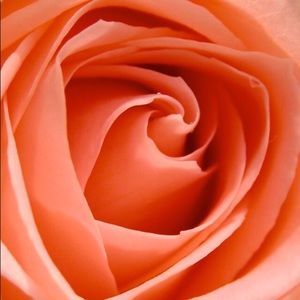 Meet your Posher, Sherry